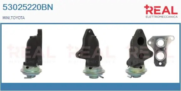 EGR Valve