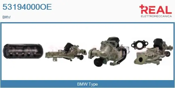 EGR Module