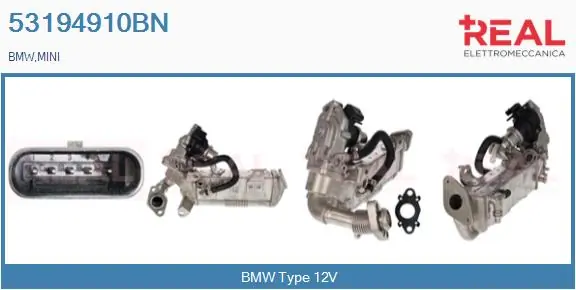 EGR Module