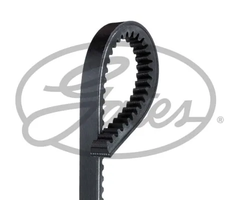 V-Belt