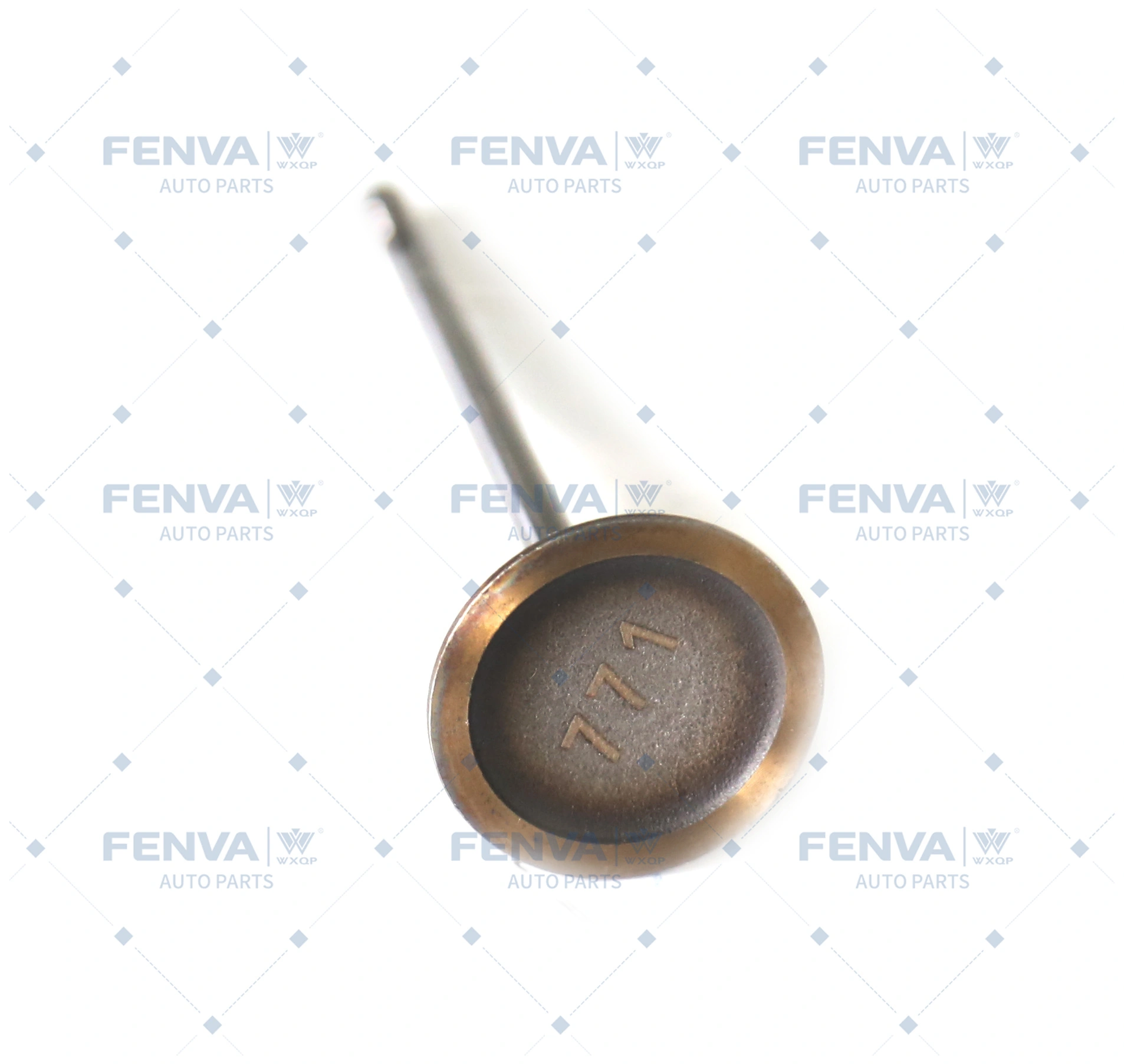 Intake Valve
