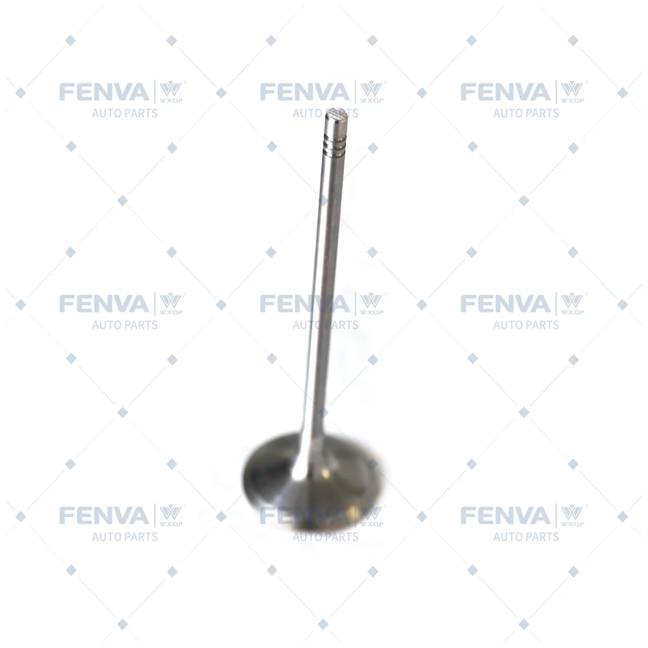 Intake Valve