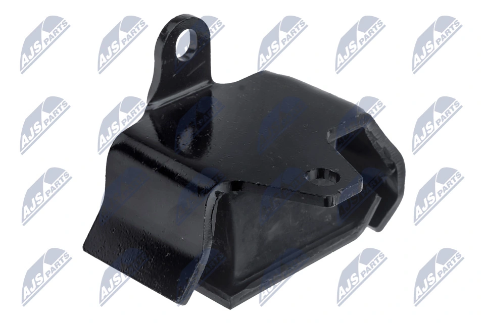 NTY ZPS-NS-101