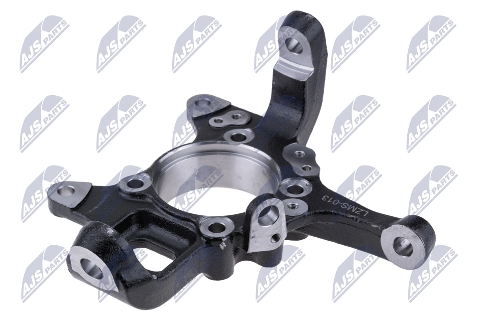 NTY ZZP-MS-013