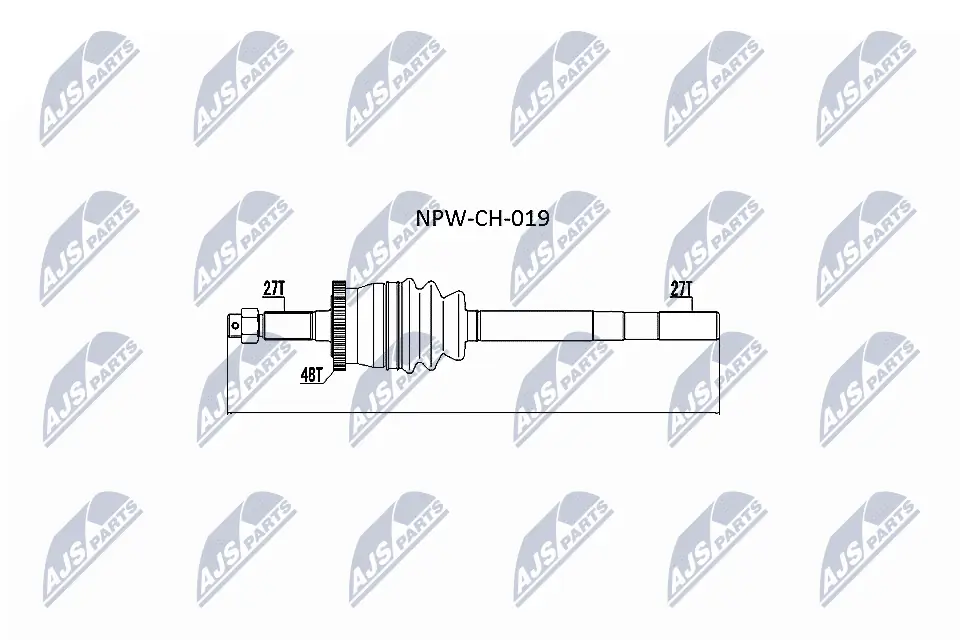 NTY NPW-CH-019