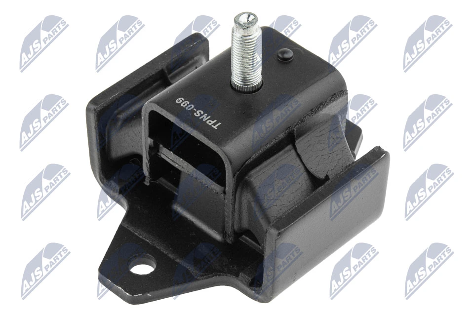 NTY ZPS-NS-099