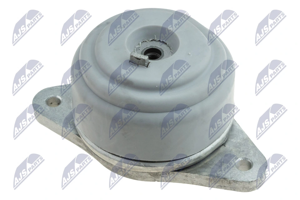 NTY ZPS-MS-011