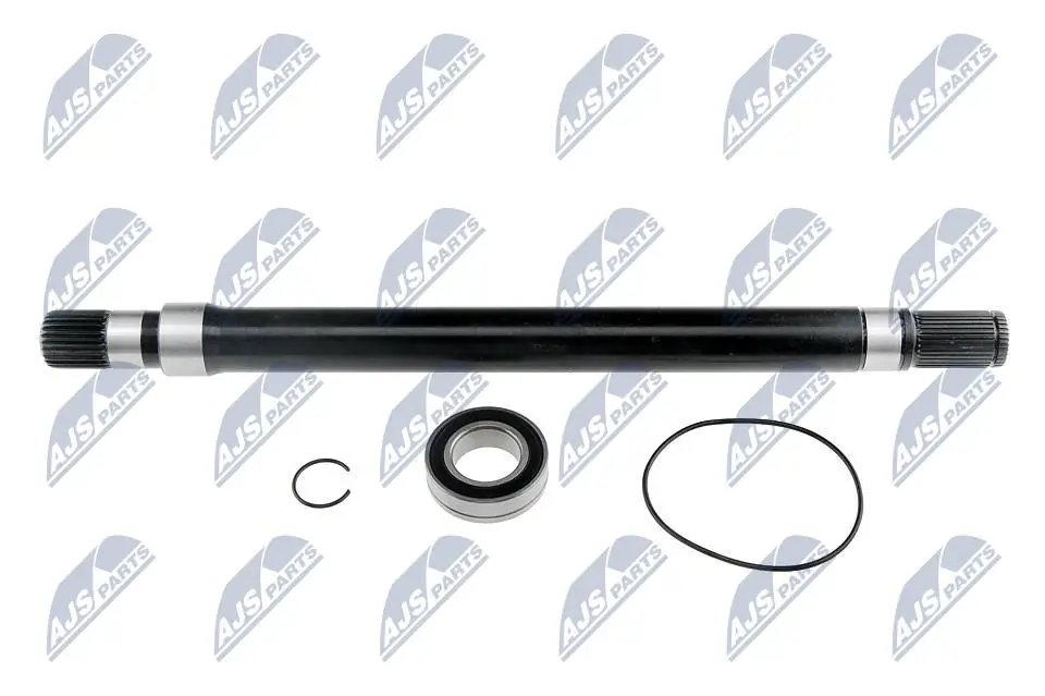 NTY NWP-PL-001
