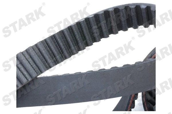 Timing Belt
