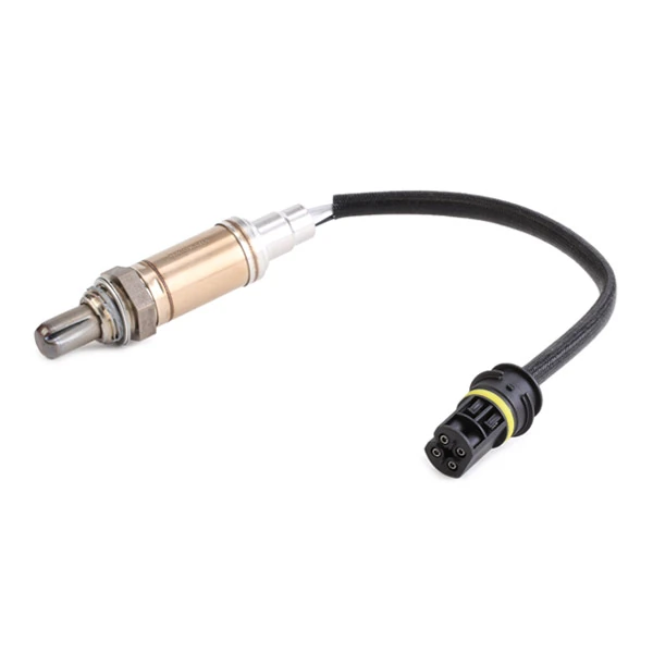 63ec937fabb01839c3e877e836a86e25f78e3131.webp — 4