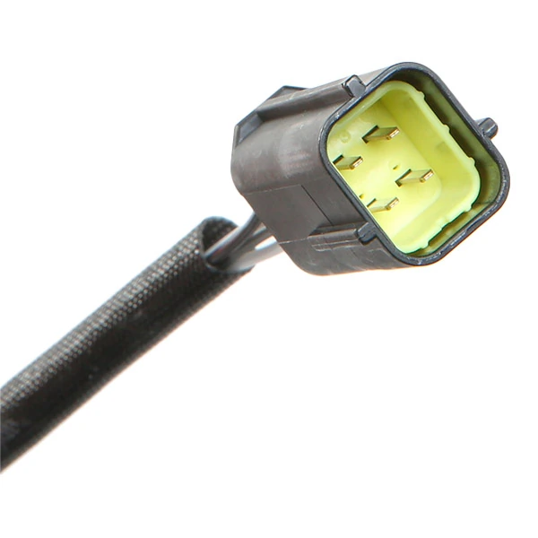 Oxygen Sensor