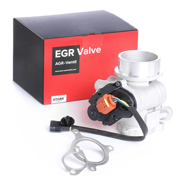 EGR Valve