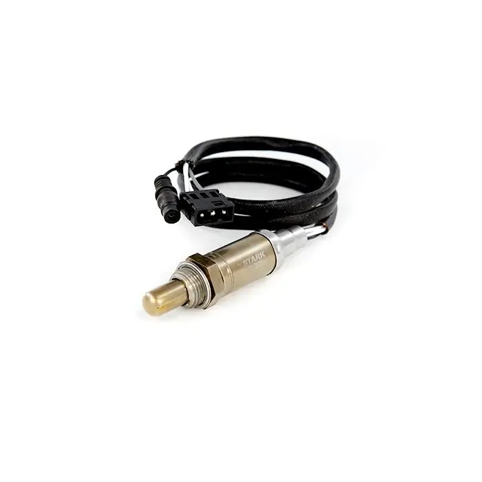 Oxygen Sensor