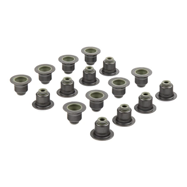 Seal Set, valve stem