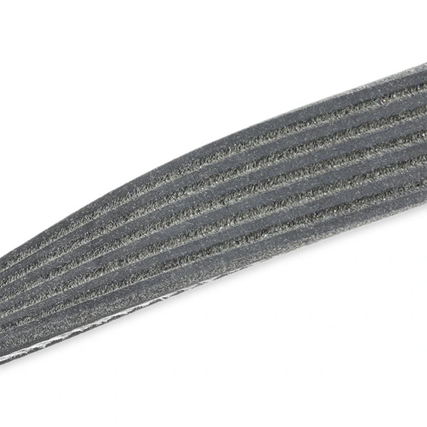Water Pump + V-Ribbed Belt Kit