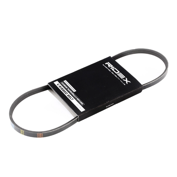 V-Ribbed Belt