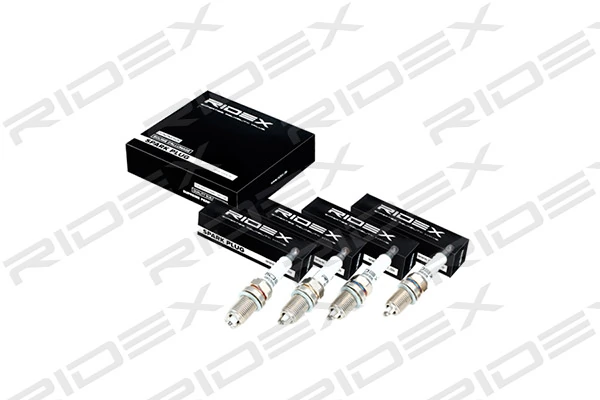 Spark Plug