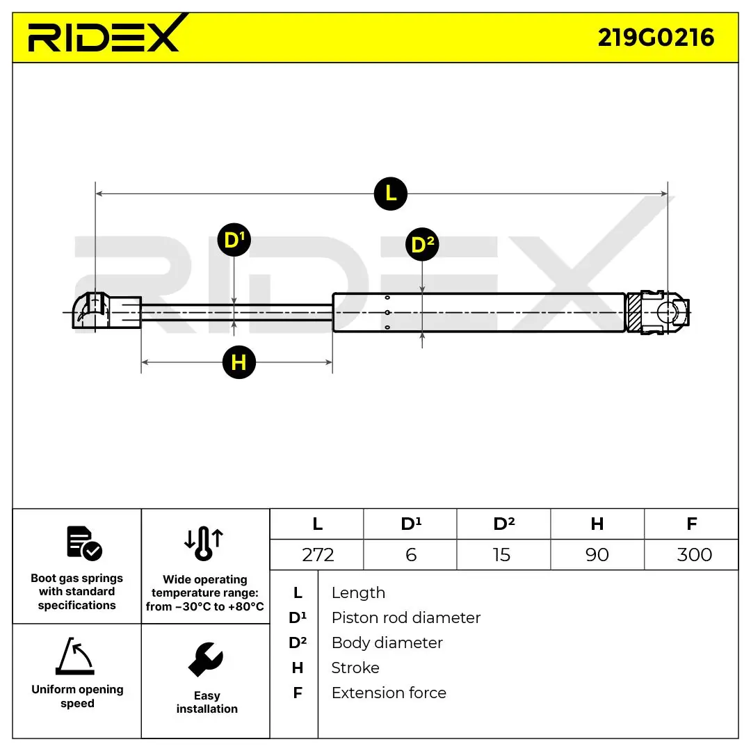 Gas Spring, boot/cargo area
