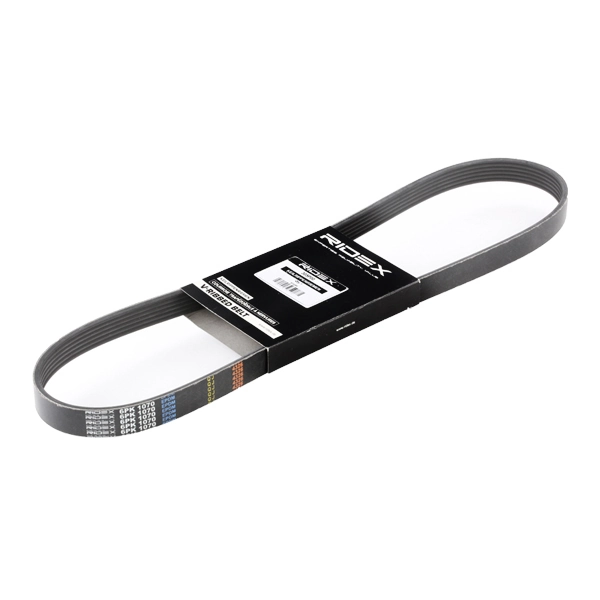 V-Ribbed Belt