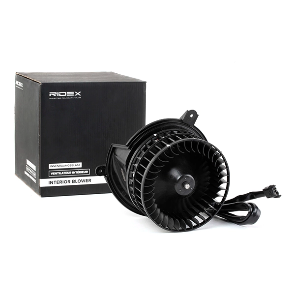 Interior Blower