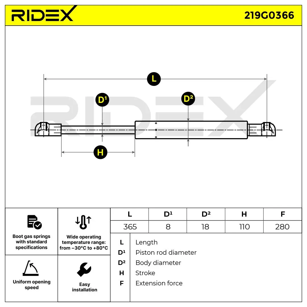 Gas Spring, boot/cargo area
