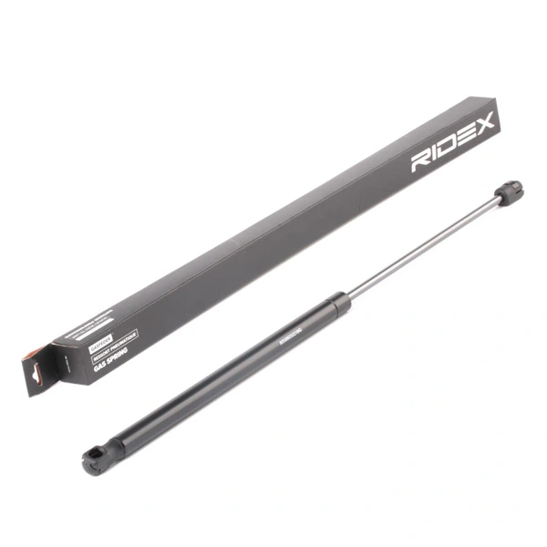 Gas Spring, boot/cargo area