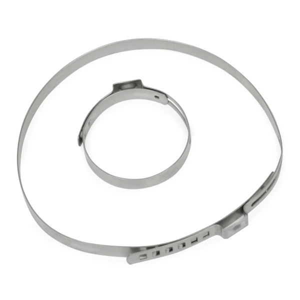 ce65fd6a60415cd63c676689afbd1257e0e8be46.webp — 3