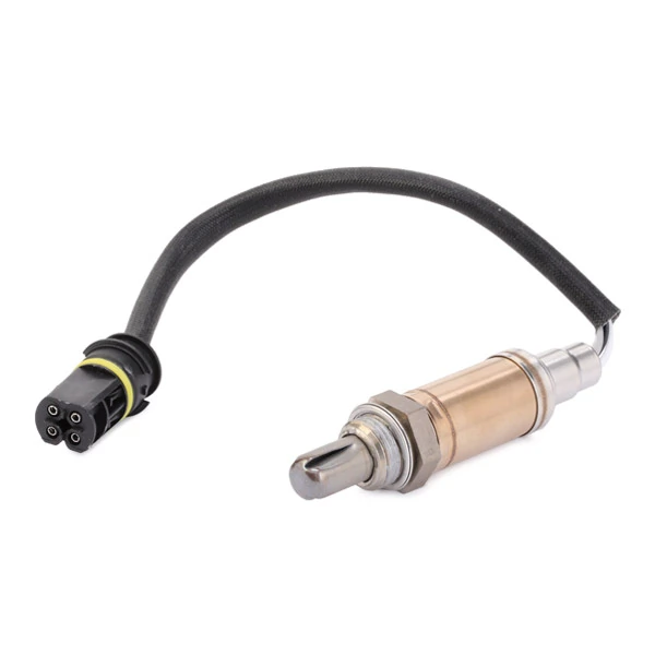 d80b3e1e3b940182bc0fff64b769805a8c4abcd3.webp — 3