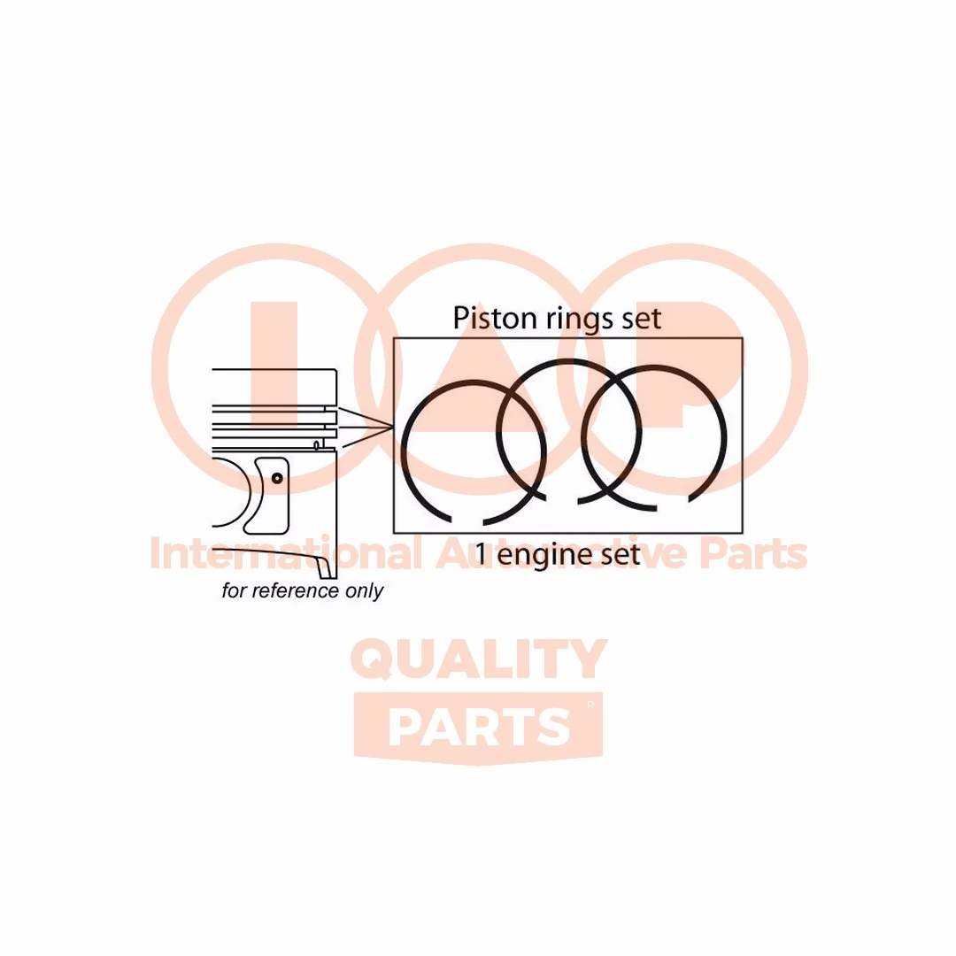 Piston Ring Kit