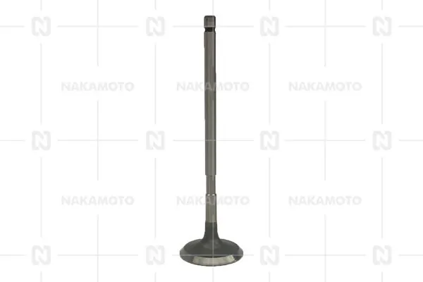 Exhaust Valve