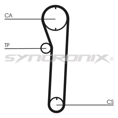 Timing Belt