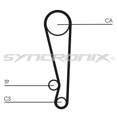 Timing Belt