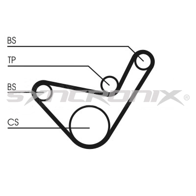 Timing Belt