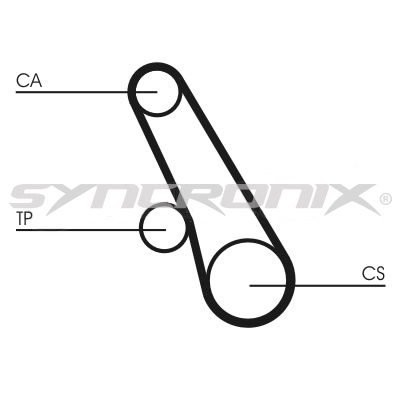 Timing Belt