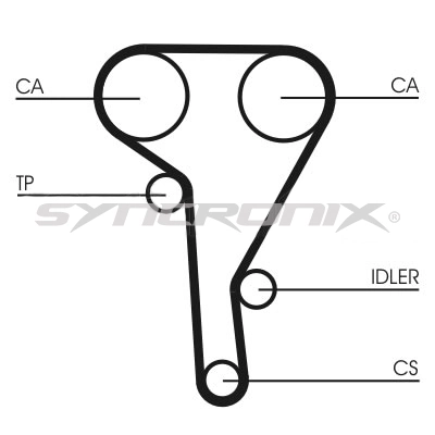 Timing Belt