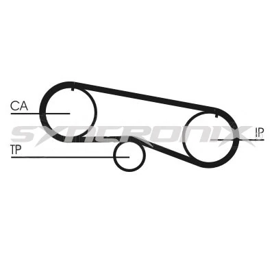 Timing Belt