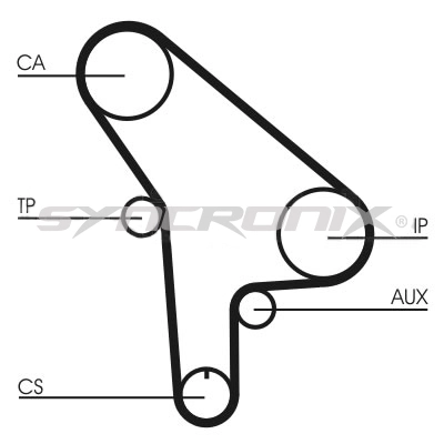 Timing Belt