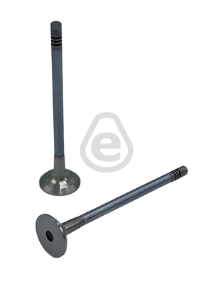 Exhaust Valve
