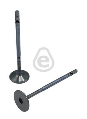 Intake Valve