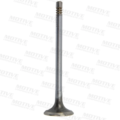 Intake Valve