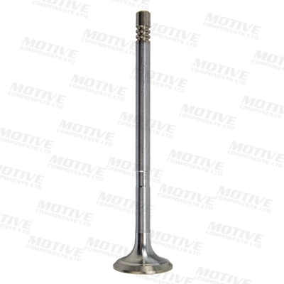 Exhaust Valve