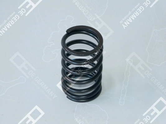 Ressort de soupape OE Germany 02 0523 250001