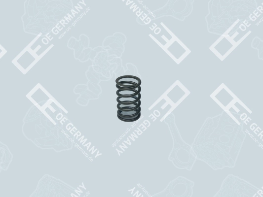 Ressort de soupape OE Germany 02 0523 280001