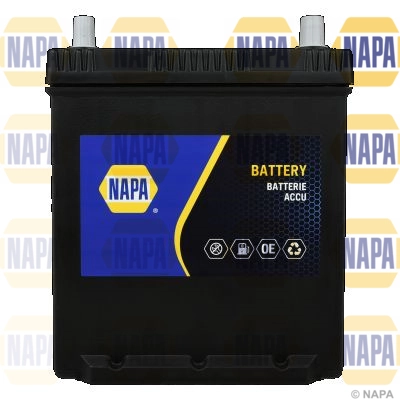 Starter Battery