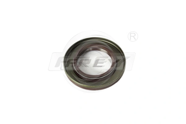 Shaft Seal, differential