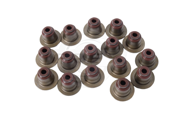 Seal Set, valve stem