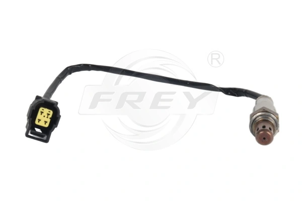 Oxygen Sensor