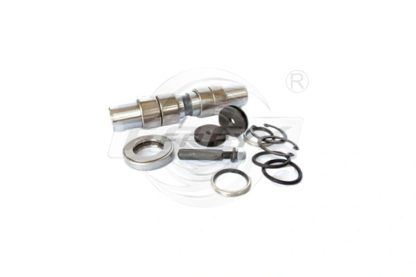 Repair Kit, kingpin