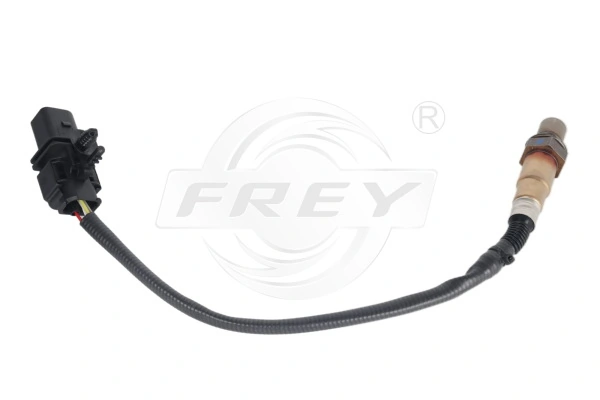 Oxygen Sensor