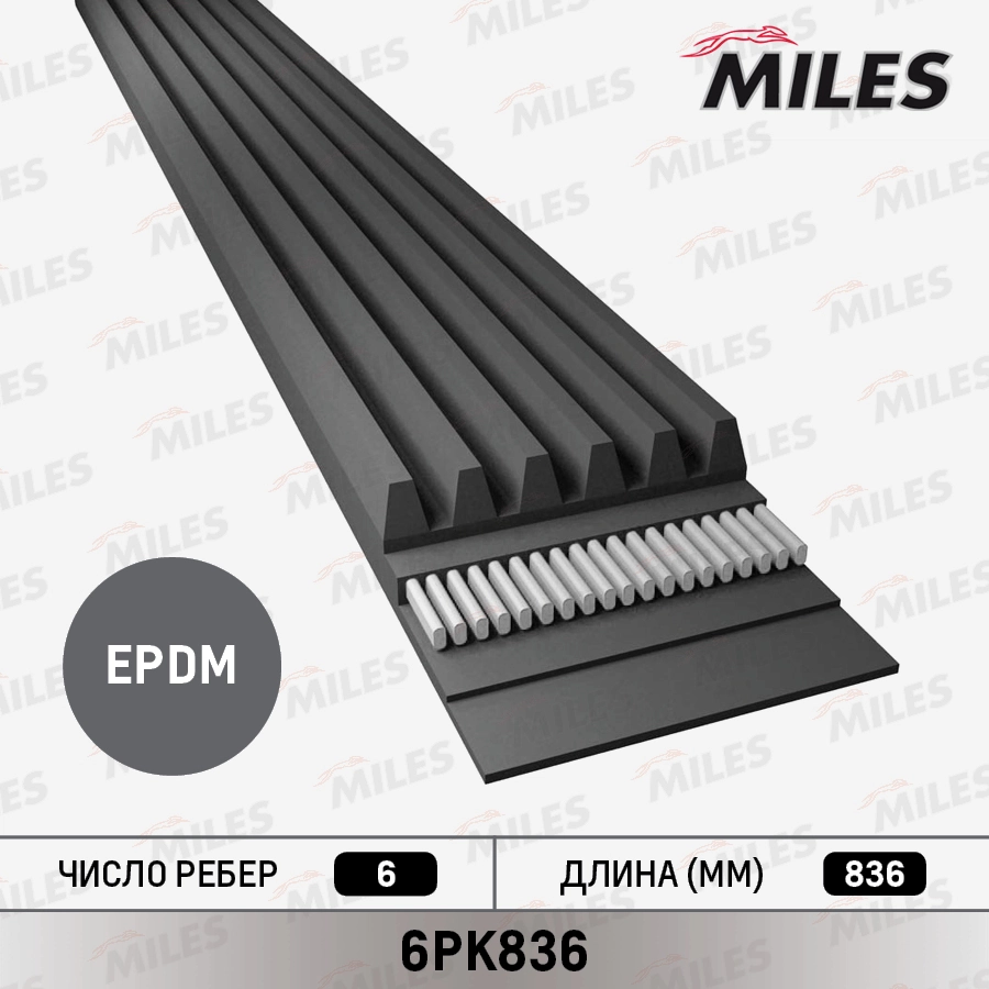 V-Ribbed Belt